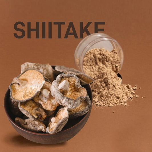 Shiitake y artritis reumatoide: un aliado natural en acción