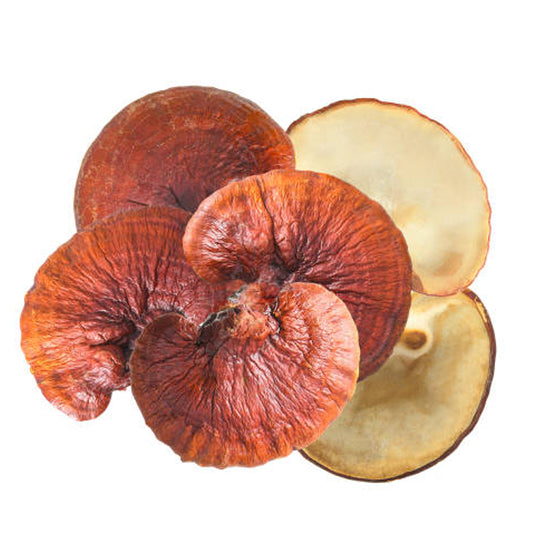 Reishi